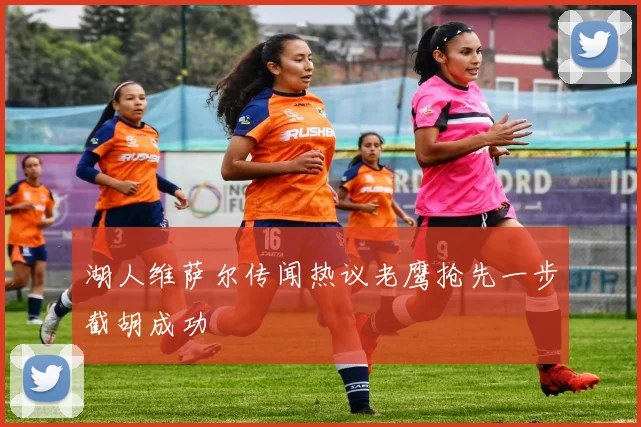 湖人维萨尔传闻热议老鹰抢先一步截胡成功